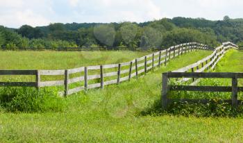 Royalty Free Photo of a Grassy Country Lane Between Fields