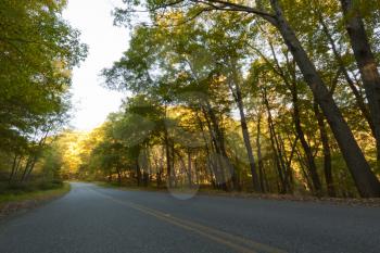 Royalty Free Photo of a Road in Autumn