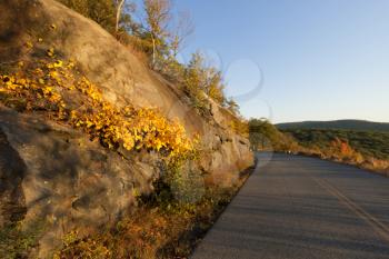 Royalty Free Photo of a County Road in Autumn