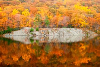 Royalty Free Photo of Fall Trees Reflected in Water