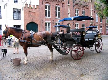 Horse drawn carriage in Brugge, Belgium
