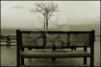 Lonely bench on the pier in the misty rainy weather.