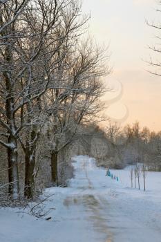 Snow covered park at early morning light.
