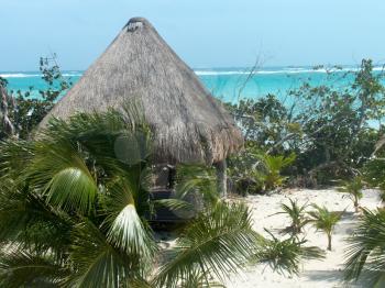 Palm leaves hut on the caribbean beach.