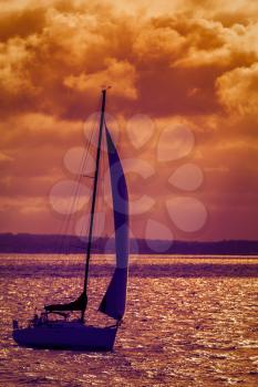 Silhouette of the sailing boat at sunset