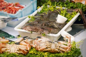 Fresh produce in seafood market.