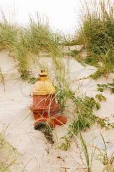 Fire hydrant in a sand dune on the beach.