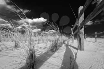 Sandy beach.