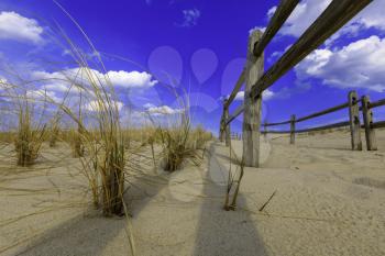 Sandy beach.