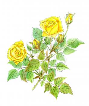 Royalty Free Clipart Image of Yellow Roses