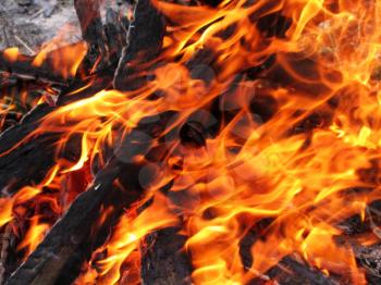 close-up of bright and hot fire