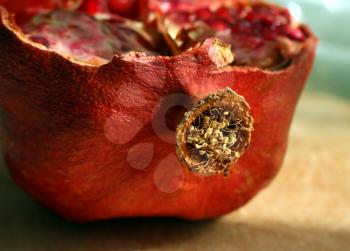 fragment of pomegranate fruit