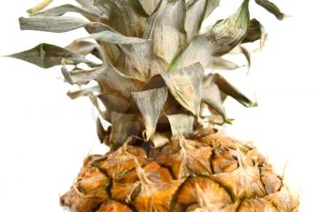 closeup of pineapple with dry foliage isolated on white background