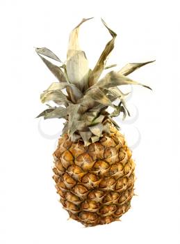 pineapple with dry foliage isolated on white background