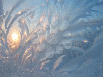 natural frost and sun on winter windowpane