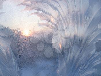 frosty natural pattern and sun on winter window 