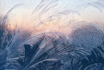 frost and sunlight on winter glass