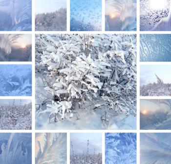 Collage of ice pattern on winter glass and plants under the snow