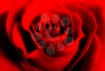 abstract red rose background
