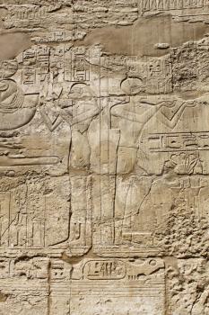 Ancient egypt images and hieroglyphics carved on the stone in the Karnak Temple, Luxor