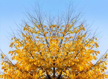Bright yellow abstract autumn tree on sky background