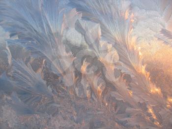 Frosty natural pattern and sunlight on winter glass