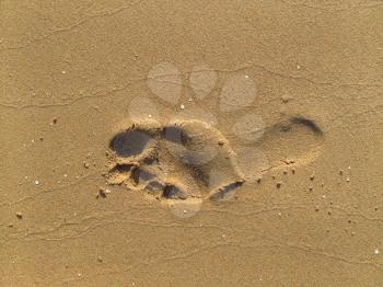 Texture of sand with footprint                   