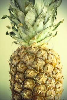 Vintage photo of ripe pineapple