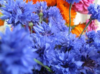 Bouquet with bright blue cornflowers flowers