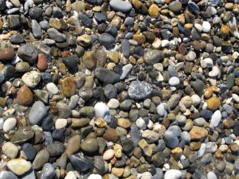 Nature background with sea wet pebble stones    