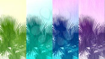 Abstract color texture background with branches of palm