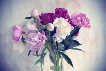 Bouquet of beautiful peonies, vintage background