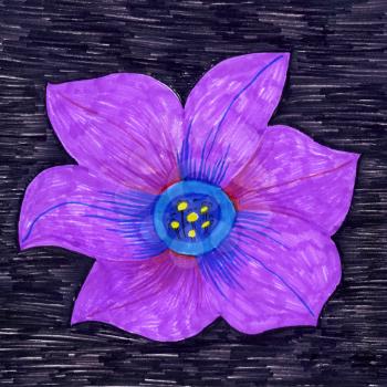 Picture with decorative petunia flower, hand draw
