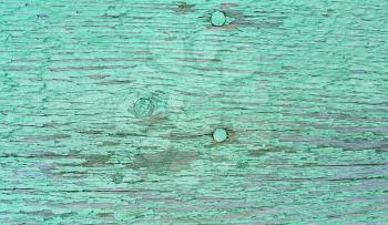 Close-up of old green painted weathered wooden texture with nails