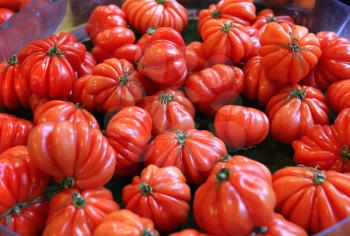 Delicious big red tomatoes at the market