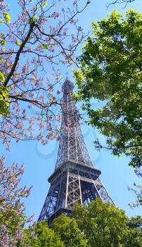 Eiffel Tower on blue sky background with beautiful blooming trees. Spring in Paris, France.