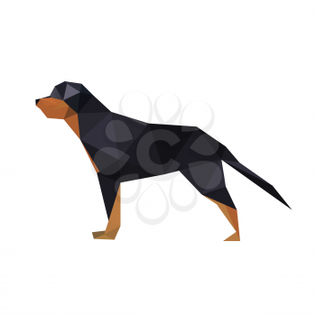 Illustration of abstract origami rotteweiler dog