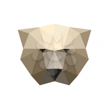 Illustration of polygonal bear portrait