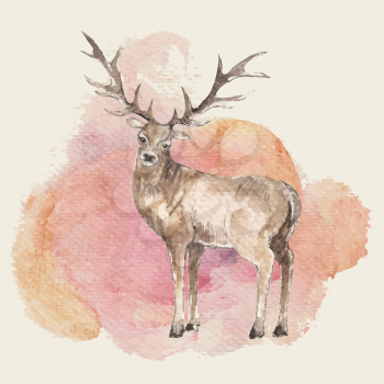 Illustration of hand drawn deer with watercolor background