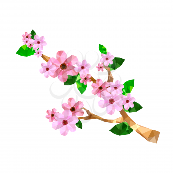 Illustration of origami cherry blossom branchisolated on white background