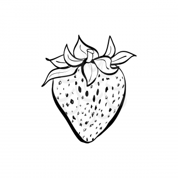 Illustration of doodle strawberry isolated on white background