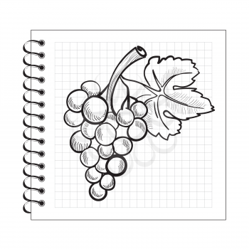 Doodle grapes on spiral notebook paper isolated on white background