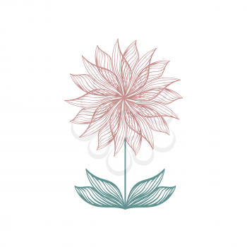 Modern flat design with hand drawn dahlia flower isolated on white background