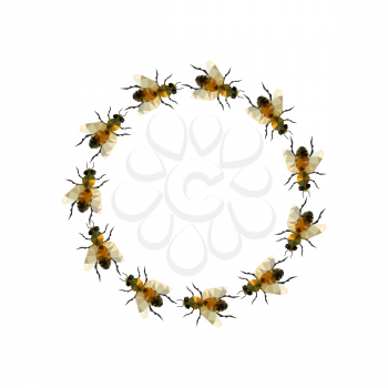 Modern origami illustration with a grup of bee in a circle isolated on white background