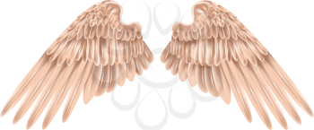 Royalty Free Clipart Image of a Pair of Wings