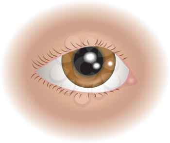 Royalty Free Clipart Image of a Human Eye
