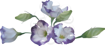Royalty Free Clipart Image of a Flowers