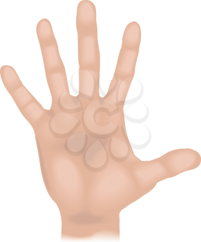 Royalty Free Clipart Image of a Human Hand