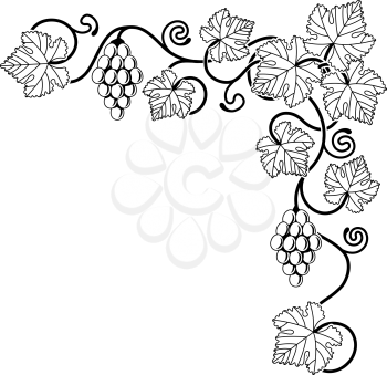 Royalty Free Clipart Image of a Grape Vine Background