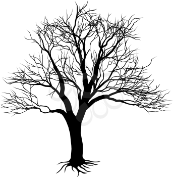 Royalty Free Clipart Image of a Tree Silhouette
